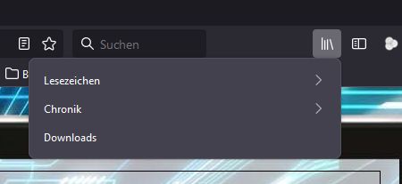 Downloadbereich im Browser finden